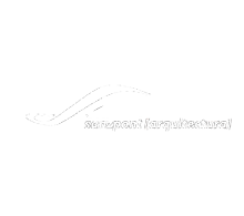 sanzpont